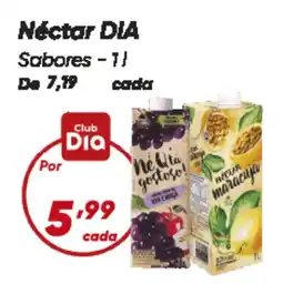 Dia Néctar DIA Sabores oferta