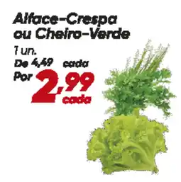 Dia Alface-Crespa ou Cheiro-Verde oferta
