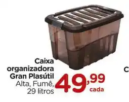 Carrefour Caixa organizadora Gran Plasútil Alta, Fumê, oferta