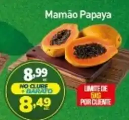Rede Bom Lugar Mamão Papaya oferta