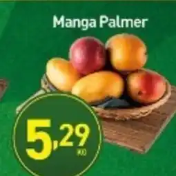 Rede Bom Lugar Manga Palmer oferta