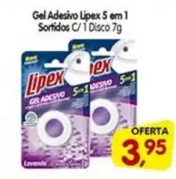 Cercadão Gel Adesivo Lipex 5 em 1 Sortidos C/1 Disco oferta