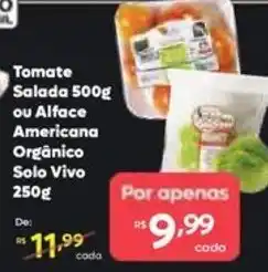 Barbosa Supermercados Tomate Salada ou Alface Americana Orgânico Solo Vivo oferta
