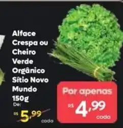 Barbosa Supermercados Alface Crespa ou Cheiro Verde Orgânico Sítio Novo Mundo oferta