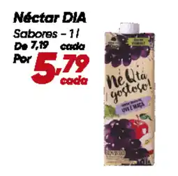 Dia Néctar DIA Sabores oferta