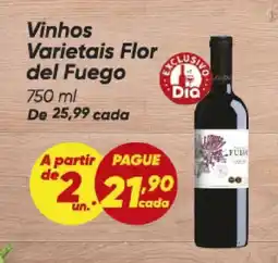 Dia Vinhos Varietais Flor del Fuego oferta