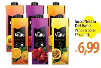 Suco Néctar Del Valle Vários sabores TP