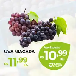 Supermercados Myatã Uva niagara oferta