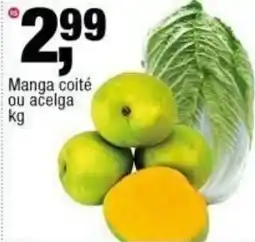 Frangolândia Manga coité ou acelga oferta