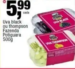Frangolândia Uva black ou thompson Fazenda Potiguara oferta