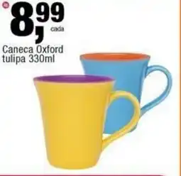 Frangolândia Caneca Oxford tulipa oferta
