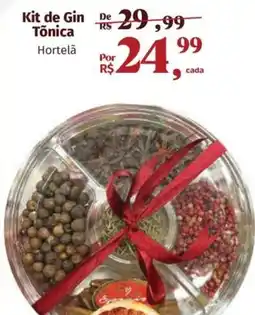 Supermercados Mateus Kit de Gin Tõnica Hortelã oferta