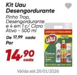 Dia Kit Uau Desengordurante oferta