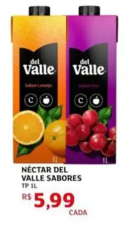 Assaí Atacadista Nectar del valle sabores tp oferta