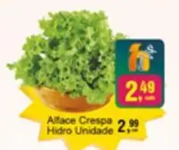 Negreiros Alface Crespa Hidro Unidade oferta