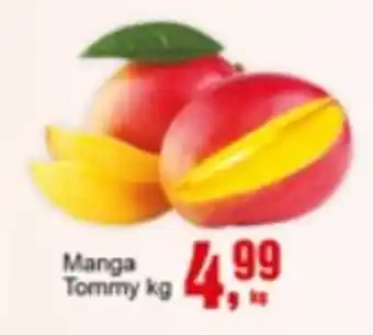 Negreiros Manga Tommy oferta