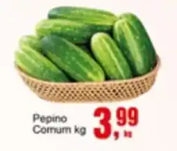 Negreiros Pepino Comum oferta