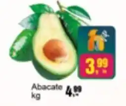 Negreiros Abacate oferta