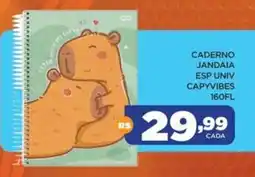 DB Supermercados Caderno jandaia esp univ capyvibes 160FL oferta