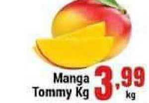 Manga Tommy 1kg