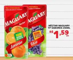 Roldão Nectar maguary tp sabores oferta