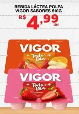 Roldão Bebida láctea polpa vigor sabores oferta