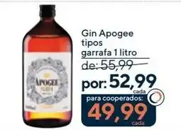 Coop Gin Apogee tipos oferta