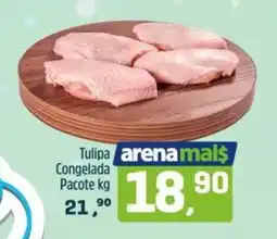 Arena Atacado Tulipa Congelada Pacote oferta