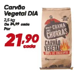 Dia Carvão Vegetal DIA oferta