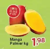 Rossi Supermercado Manga Palmer oferta