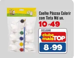 Rede Top Coelho Páscoa Colorir com Tinta Md un. oferta