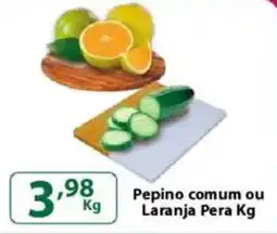 Comercial Esperança Pepino comum ou Laranja Pera oferta