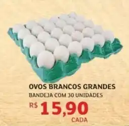 Assaí Atacadista Ovos brancos grandes bandeja com 30 unidades oferta