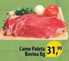Supermercado Padrão Carne Paleta Bovina 1kg oferta