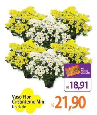 Vaso Flor Crisântemo Mini Unidade
