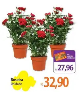 Atacadão Roseira Unidade oferta