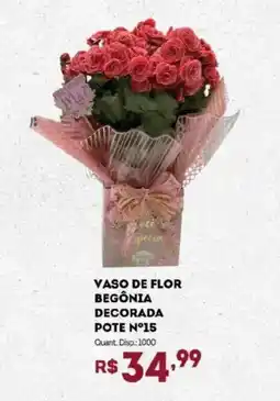 Bistek Supermercados Vaso de flor begônia decorada pote n°15 oferta