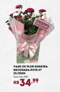 Bistek Supermercados Vaso de flor roseira decorada pote n° 13/15un oferta