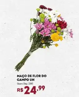 Bistek Supermercados Maço de flor do campo un oferta