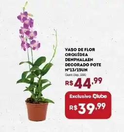 Bistek Supermercados Vaso de flor orquídea denphalaen decorado pote n°13/15un oferta