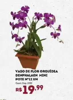 Bistek Supermercados Vaso de flor orquídea denphalaen mini pote n°12 un oferta