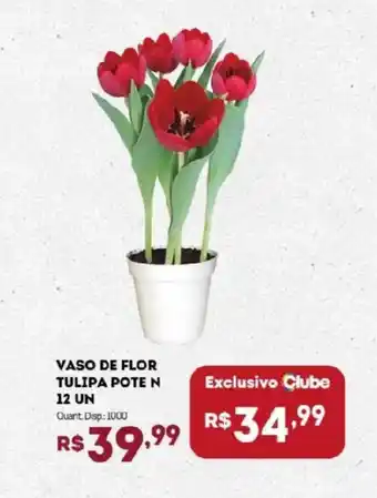 Vaso de flor tulipa poten 12 un