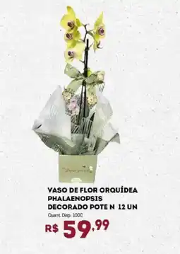Bistek Supermercados Vaso de flor orquídea phalaenopsis decorado pote n 12 un oferta