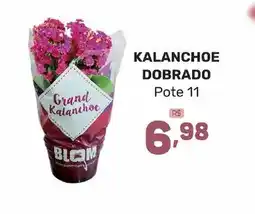 Supermercados Jau Serve KALANCHOE DOBRADO oferta