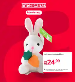 Lojas Americanas coelho com cenoura 20cm oferta