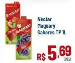 Max Atacadista Néctar Maguary Sabores TP oferta