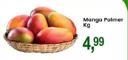 Federzoni Supermercados Manga Palmer oferta