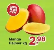 Rossi Supermercado Manga Palmer oferta