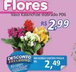 Supermercados Savegnago Vaso Kalanchoe dobrado P06 oferta