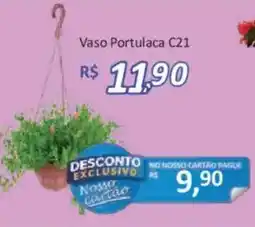 Supermercados Savegnago Vaso Portulaca C21 oferta